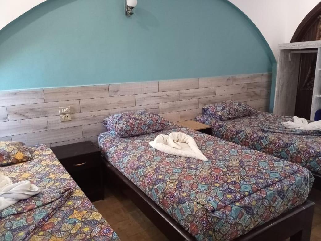 Dahab Divers Kültér fotó