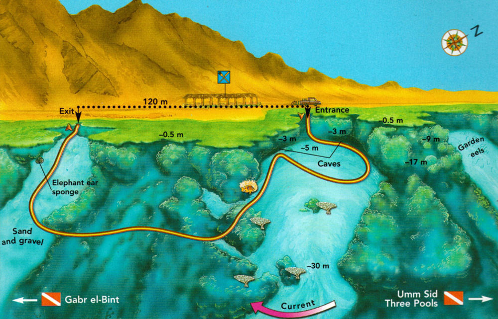 Dahab Divers Kültér fotó