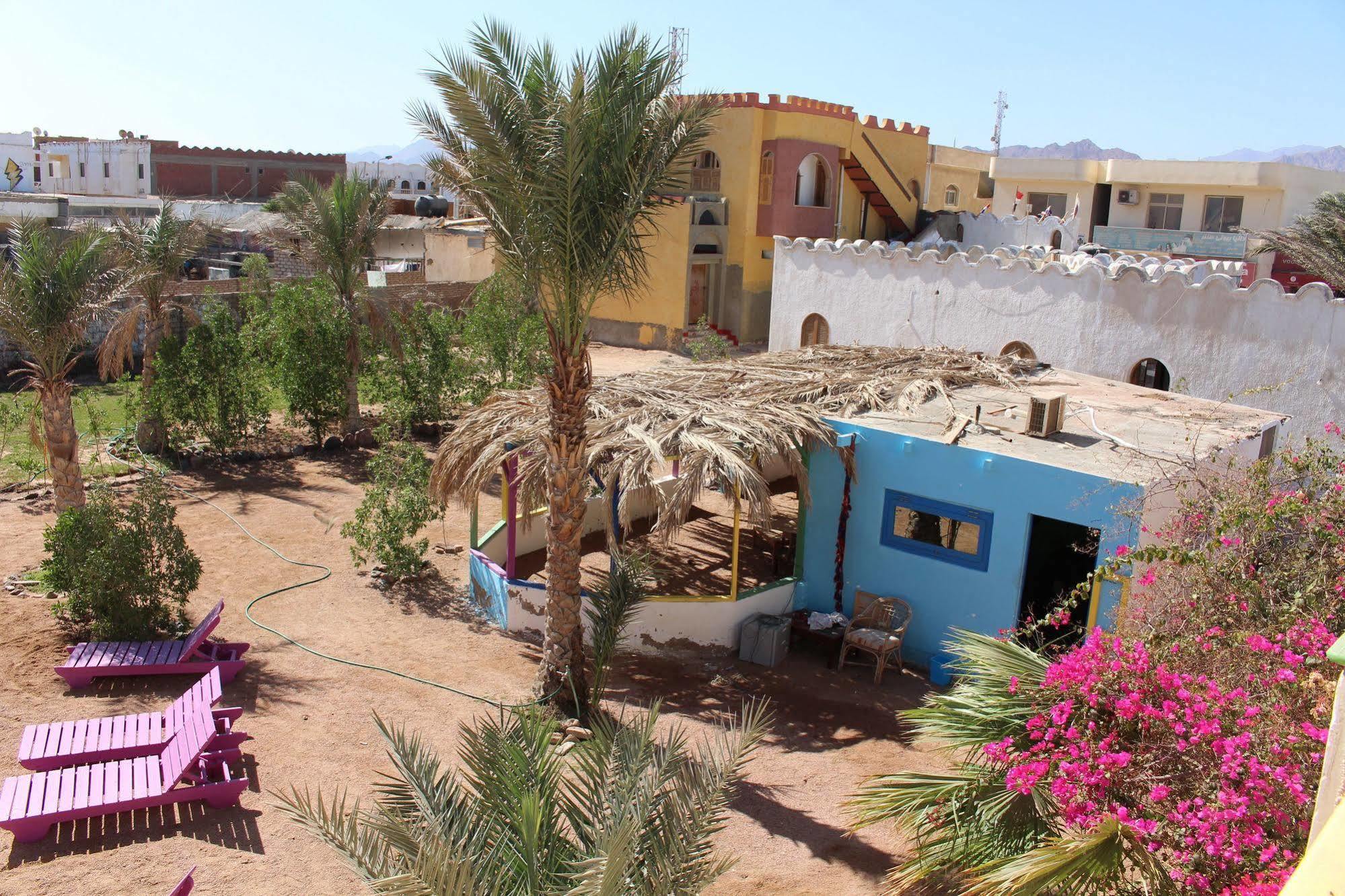 Dahab Divers Kültér fotó